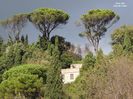 DSCN1288