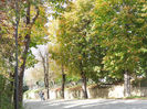 DSCN1290