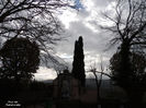 DSCN1311