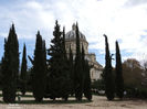 DSCN1313