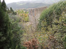DSCN1323