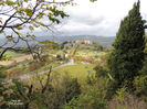 DSCN1329
