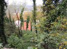 DSCN1331