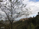 DSCN1334