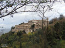 DSCN1335