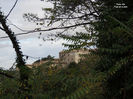 DSCN1339