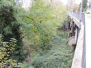 DSCN1341