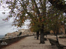 DSCN1355