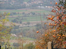 DSCN1374