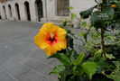 DSCN1406