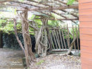 DSCN1429
