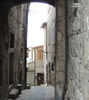 DSCN1445