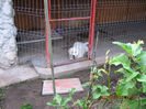 Picture 023