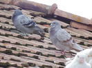 DSC00109
