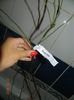 DSCN5697