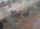 IMG-20131108-00556