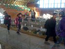 IMG-20131108-00562