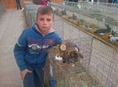 IMG-20131110-00596
