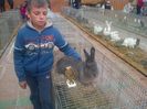 IMG-20131110-00600