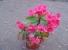 DSC00159