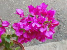 DSC00162