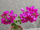 DSC00163
