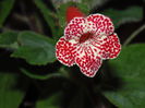 DSC00167