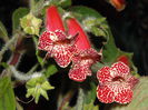 DSC00170