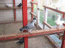 Picture 121