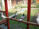 Picture 125