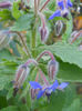 DSCN5249