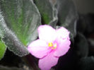DSCN5259