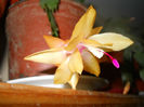DSCN5260