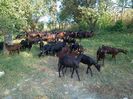 IMG_20130830_175858