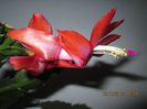 IMG_0694