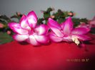 IMG_0671