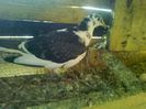 Photo0642