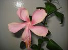 DSC05916