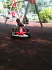 IMG_0517 - Copy