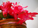 DSCN0018_018