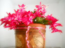 DSCN0020_020