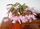 DSCN0025_025