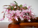 DSCN0027_027