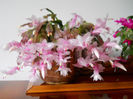 DSCN0028_028