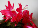 DSCN0038_038