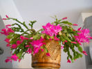 DSCN0047_047