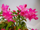 DSCN0049_049