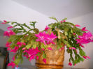 DSCN0052_052