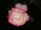 SANY0043