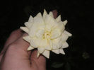 SANY0044